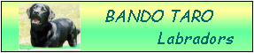 bando tarõz[y[WցI